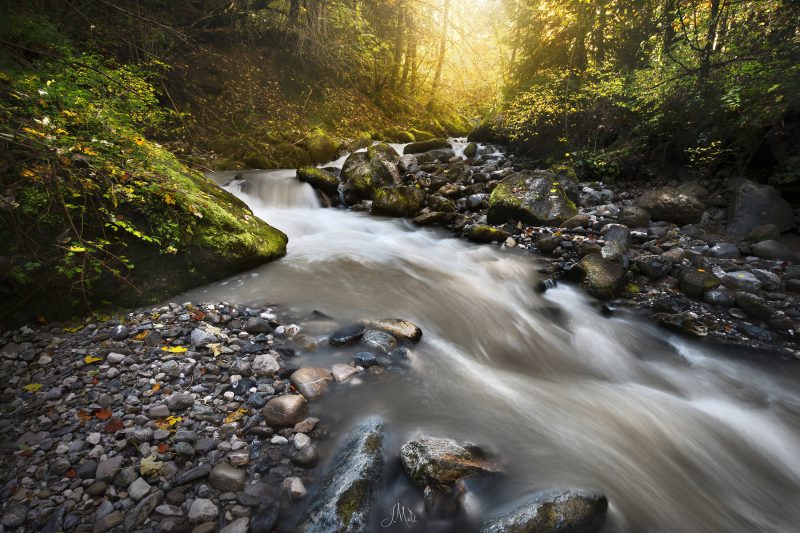 La Rivière Tumultueuse