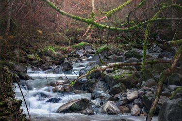 La rivière enchevêtrée