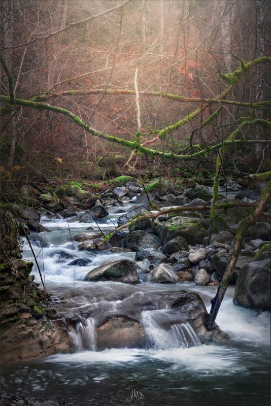 La rivière enchevêtrée