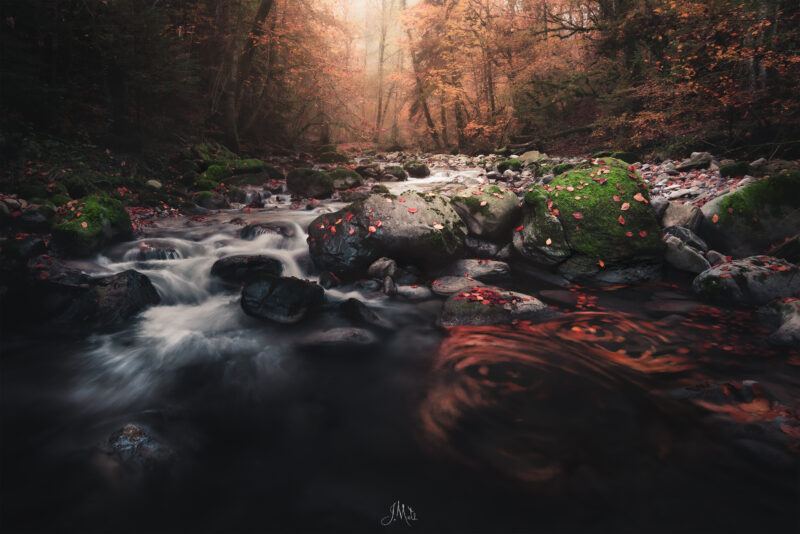 Torrent en sous-bois aux couleurs d'automne