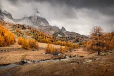 Vallée de la Clarée