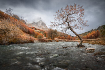 Vallée de la Clarée